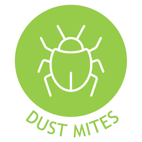 A green circle with a white icon of a bug in it. The word "DUST MITES" written below the circle in green.
