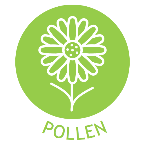A green circle with a white icon of a flower in it. The word "POLLEN" written below the circle in green.
